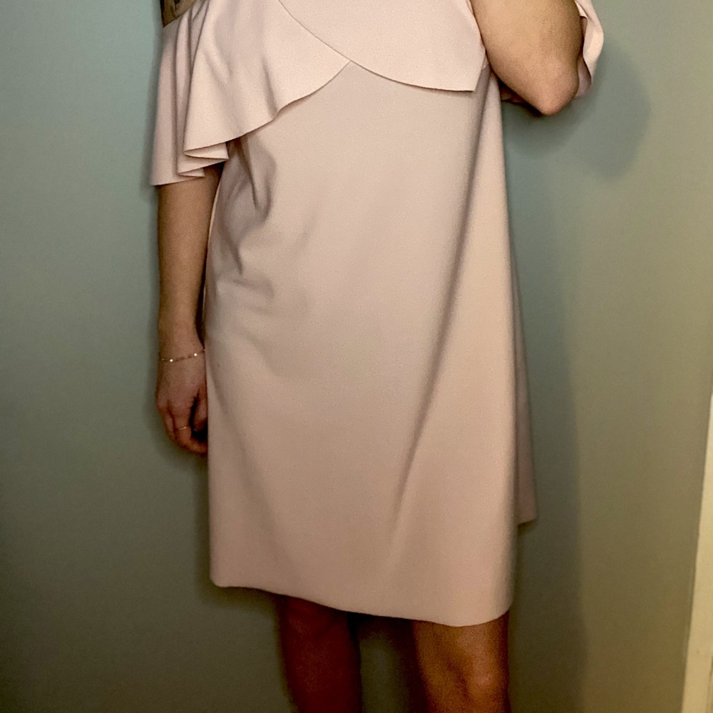 Zara pink dress - Picture 2 of 3